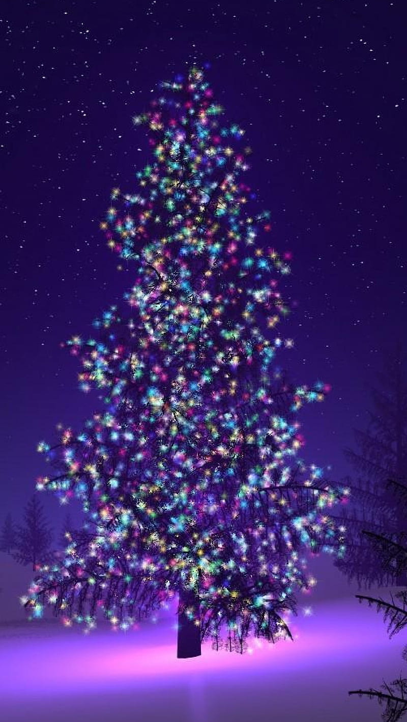 Christmas Tree, holiday, time, HD phone wallpaper