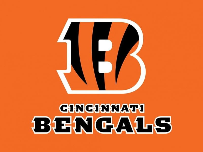 Cincinnati Bengals, Cincinatti, Ohio, NFL, Bengals, football, HD wallpaper