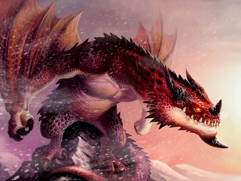 Fantasy, Dragon, Wyvern, HD wallpaper