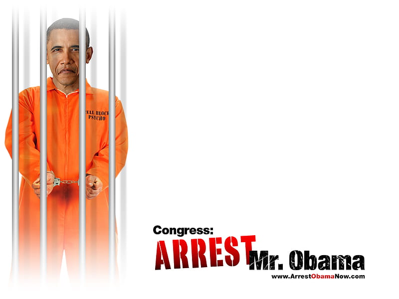 Arrest Obama, b-rated, barack obama, short film, funny, HD wallpaper