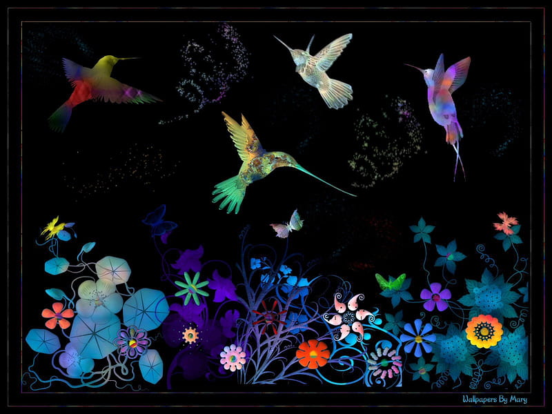Neon Birds 1600x1200, Butterflies, Neon, Colorful, Butterfly, Birds, Colors, Flowers, Bird, Flower, HD wallpaper