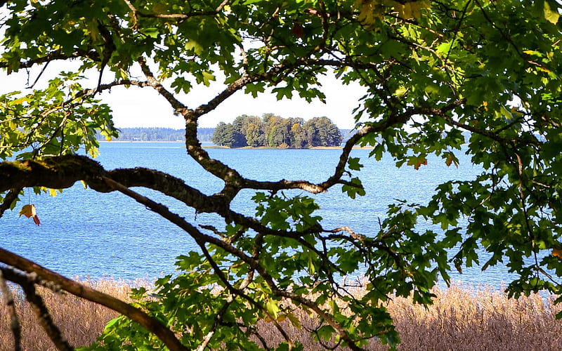 Lake Aluksnes in Latvia, Latvia, island, tree, lake, HD wallpaper