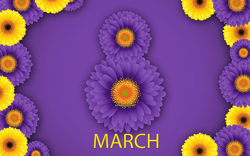 March 8, purple chrysanthemums, purple background, Happy Womens Day, March 8 concepts, spring, flowers, greeting card, HD wallpaper