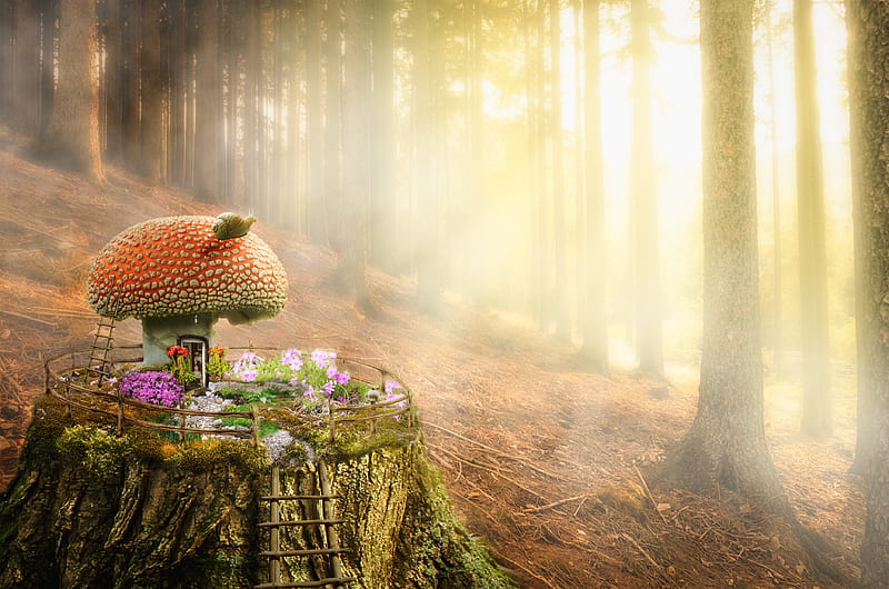 Mushroom house, luminos, orange, forest, house, snail, mushroom, HD wallpaper
