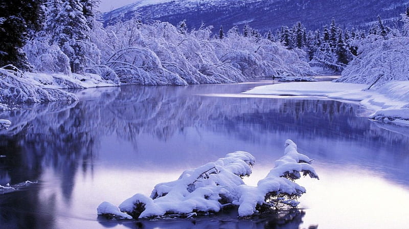 Interesting winter evening, forest, lake, winter, snow, mountains ...