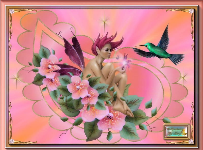 Hiding In Flowers Fantasy Hummingbirds Flowers Fairies Pink Hd