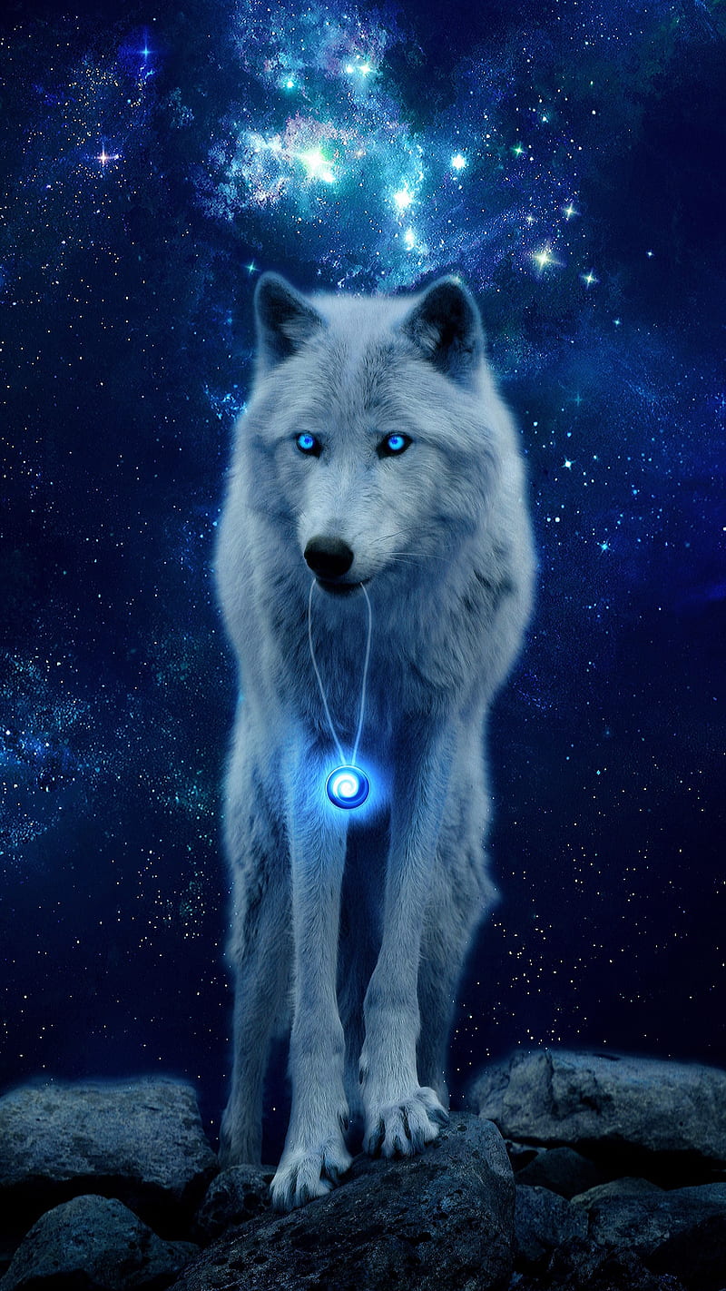 White wolf, galaxy, blue, stars, night, fantasy, neckless, animal, HD phone wallpaper