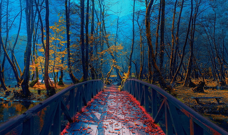Late Autumn in Bosnia, twilight, leaves, trees, bridge, colors, HD wallpaper