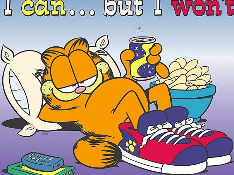 Garfield, comic, cat, HD wallpaper | Peakpx