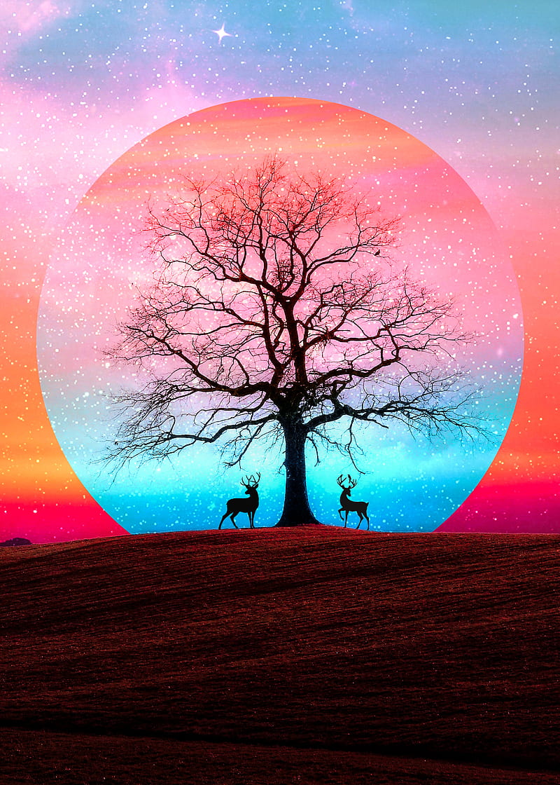 Dream, Alex, animal global warming, deer, miracle, hop, surreal, tree, HD phone wallpaper