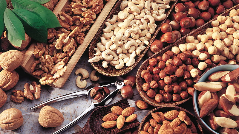 Hazelnut Almond Nut Walnut Walnut, HD wallpaper
