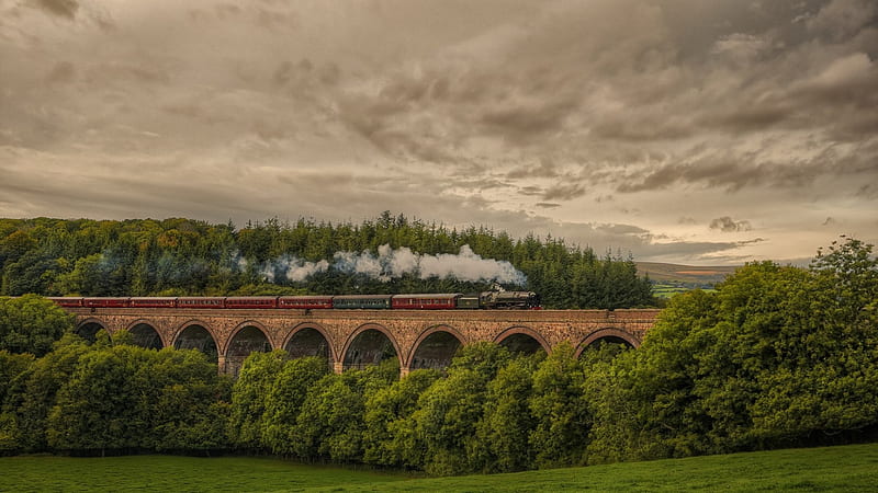 Cornwood Viaduct, England, train, bridge, steam, clouds, landscape, HD wallpaper