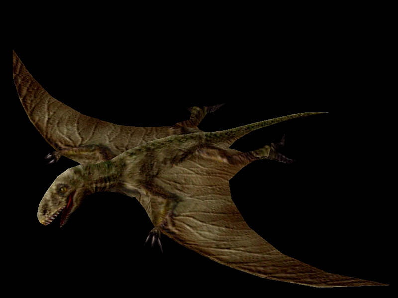 Carnivores Dinosaur Hunter Dimorfodon, dimor, dino, hunter, carn, HD wallpaper