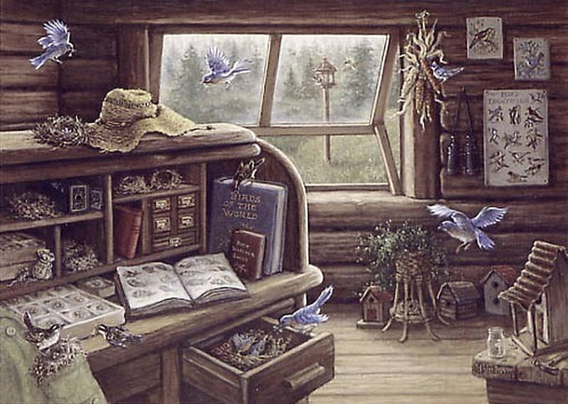 THE BIRD HOUSE !, bird house, cabin, window, bird, HD wallpaper