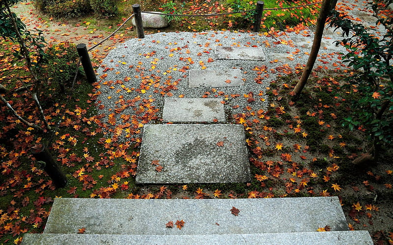 Autumn stone steps-Enkoji Temple Autumn, HD wallpaper