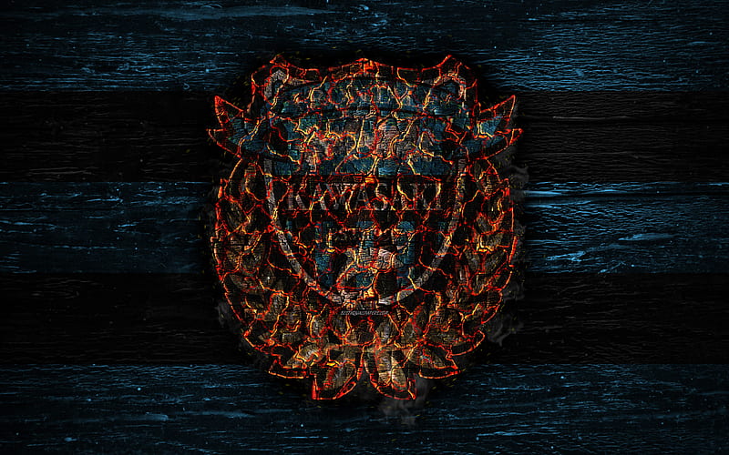 Kawasaki Frontale Fc Fire Logo J League Club De Futbol Japones Grunge Futbol Fondo De Pantalla Hd Peakpx