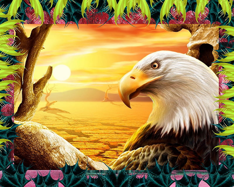 Regal Eagle, bird, theme, HD wallpaper