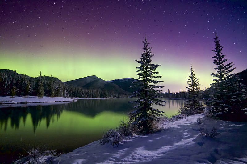 Winter, Sky, Stars, Snow, Mountain, Reflection, Forest, Tree, , Aurora Borealis, HD wallpaper