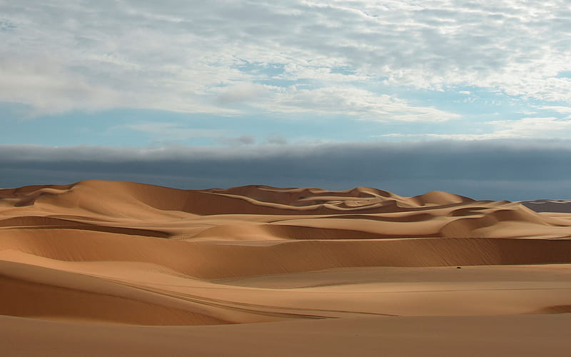 Desert in Namibia, Namibia, desert, Africa, sands, dunes, HD wallpaper