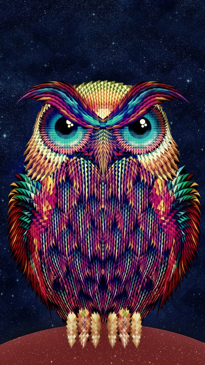Owl, beauty, colorful, cute, graphic art, night, HD phone wallpaper