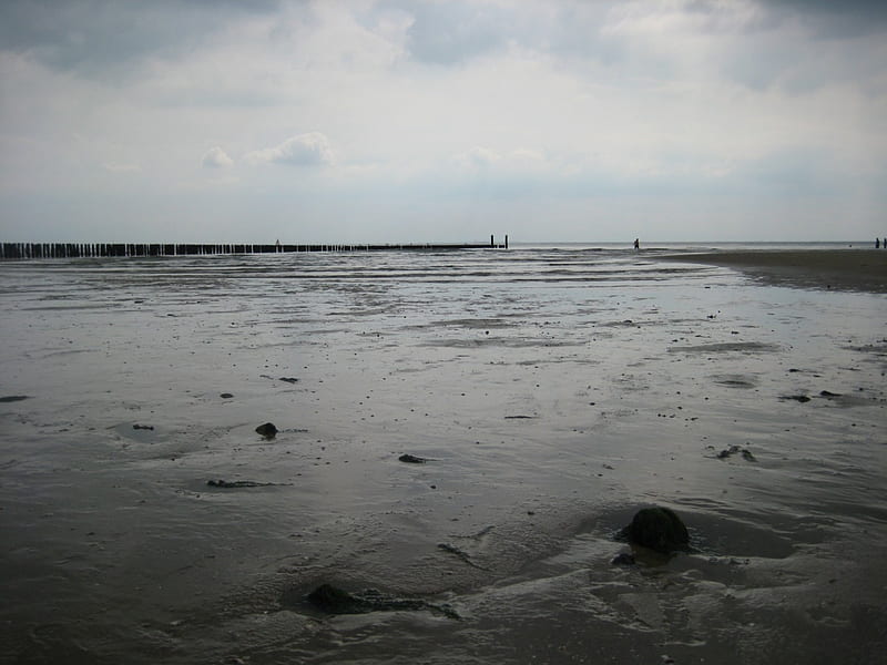 Low tide, beach, tide, graphy, nature, sea, HD wallpaper