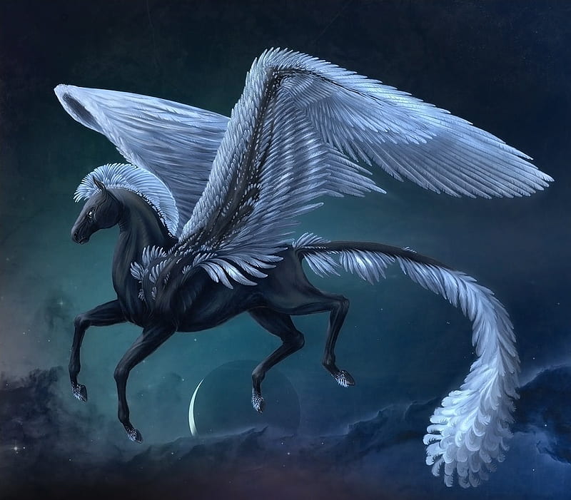 King of the Sky, pegasus, moon, wings, flying, magical, mythical, horse, feathers, HD wallpaper