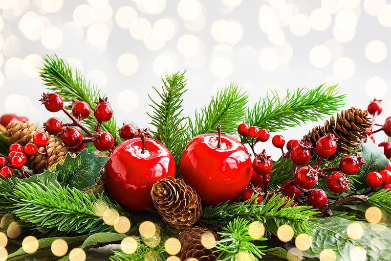 Merry Christmas!, apple, red, craciun, christmas, pine cone, card, fruit, green, berry, HD wallpaper