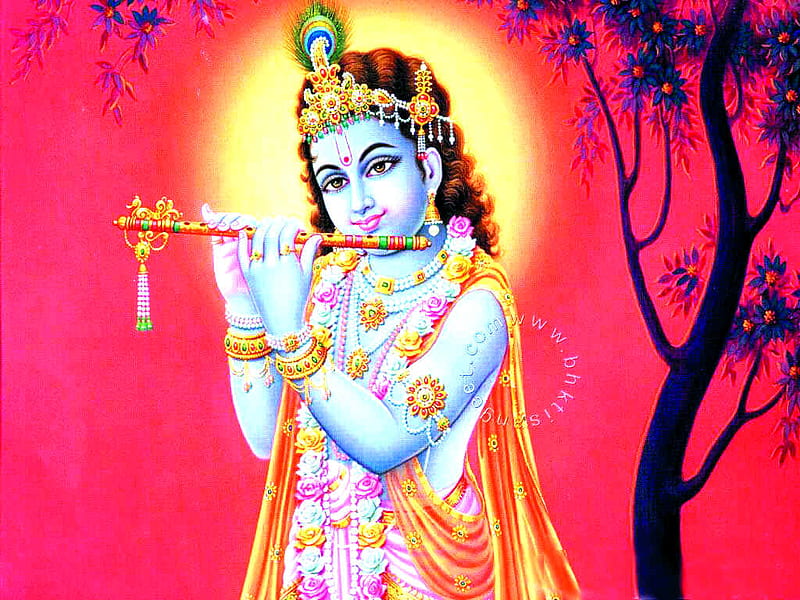 Krishna, black, red, white, god, HD wallpaper
