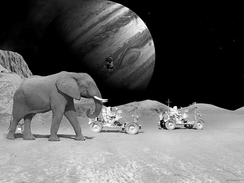 spacial wild road, moon, spaceman, planet, elephant, HD wallpaper