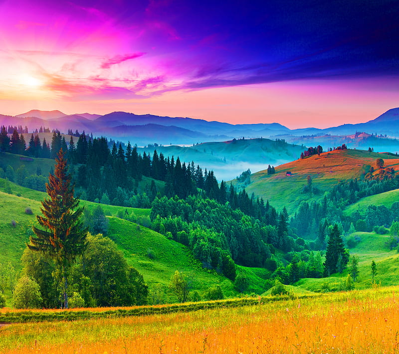Beautiful Landscape, green trees, landscape sky hills, nature colors, HD wallpaper