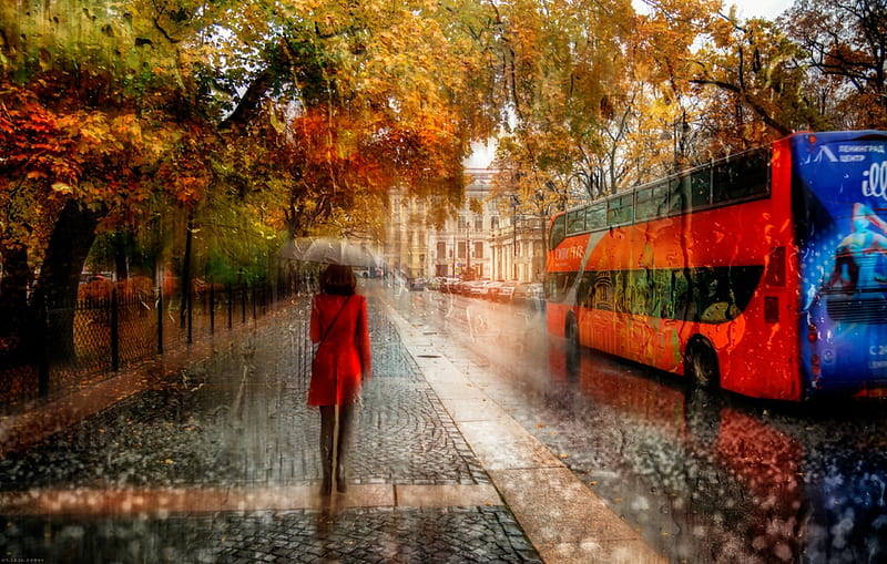 Walking in Autumn Rain, rain, Woman, Art, Autumn, HD wallpaper