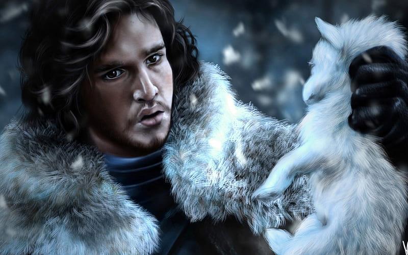 Jon Snow & Puppy Ghost, westeros, game of thrones, artwork, show, fantasy, tv show, tv series, puppy, essos, george r r martin, abstract, a song of ice and fire, ghost, medieval, snow, snowflakes, entertainment, skyphoenixx1, the nights watch, jon snow, HD wallpaper