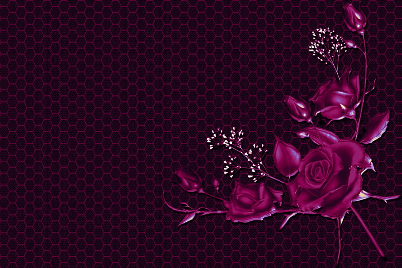 Honeycomb Roses, hop, Cerise, Pink, Mauve, Honeycomb, Roses, HD wallpaper