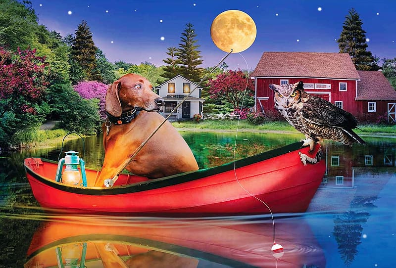 Fishing Buddy, house, boat, dog, artwork, digital, moon, owl, HD wallpaper