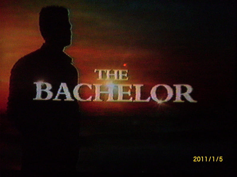 The Bachelor, man, fun, entertainment, HD wallpaper