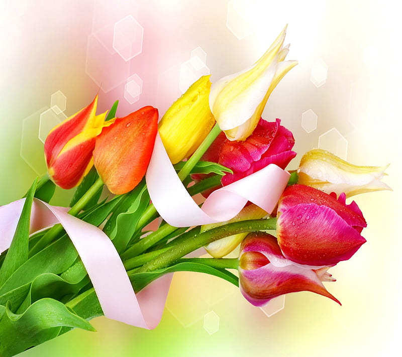 Beautiful Flowers, beautifu, l flowers, HD wallpaper