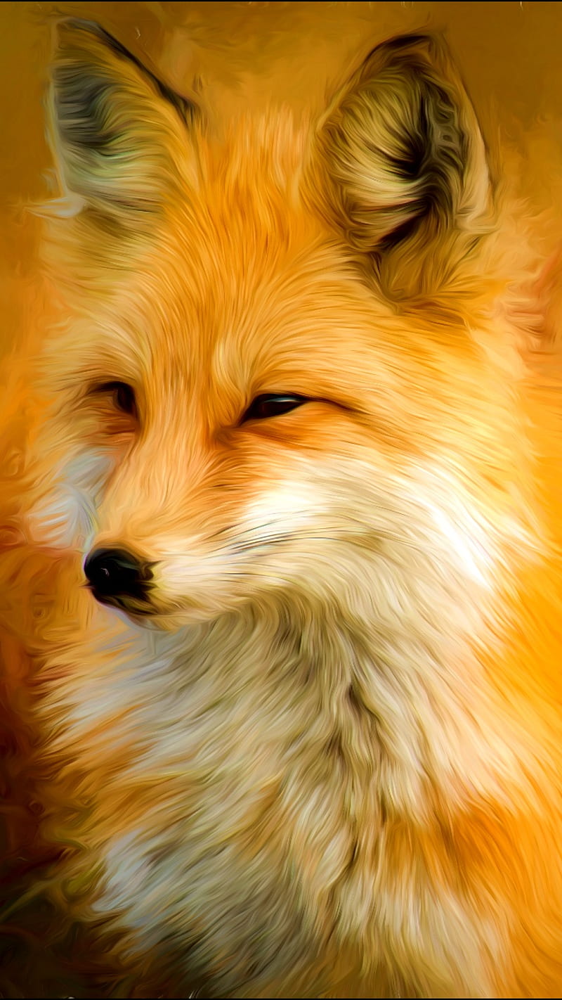 Cute Fox Art Wallpapers  Top Những Hình Ảnh Đẹp