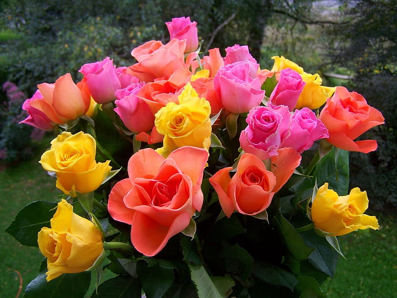Rose Bouquet, cut flowers, orange, flowers, yellow, color, nature, pink, HD wallpaper