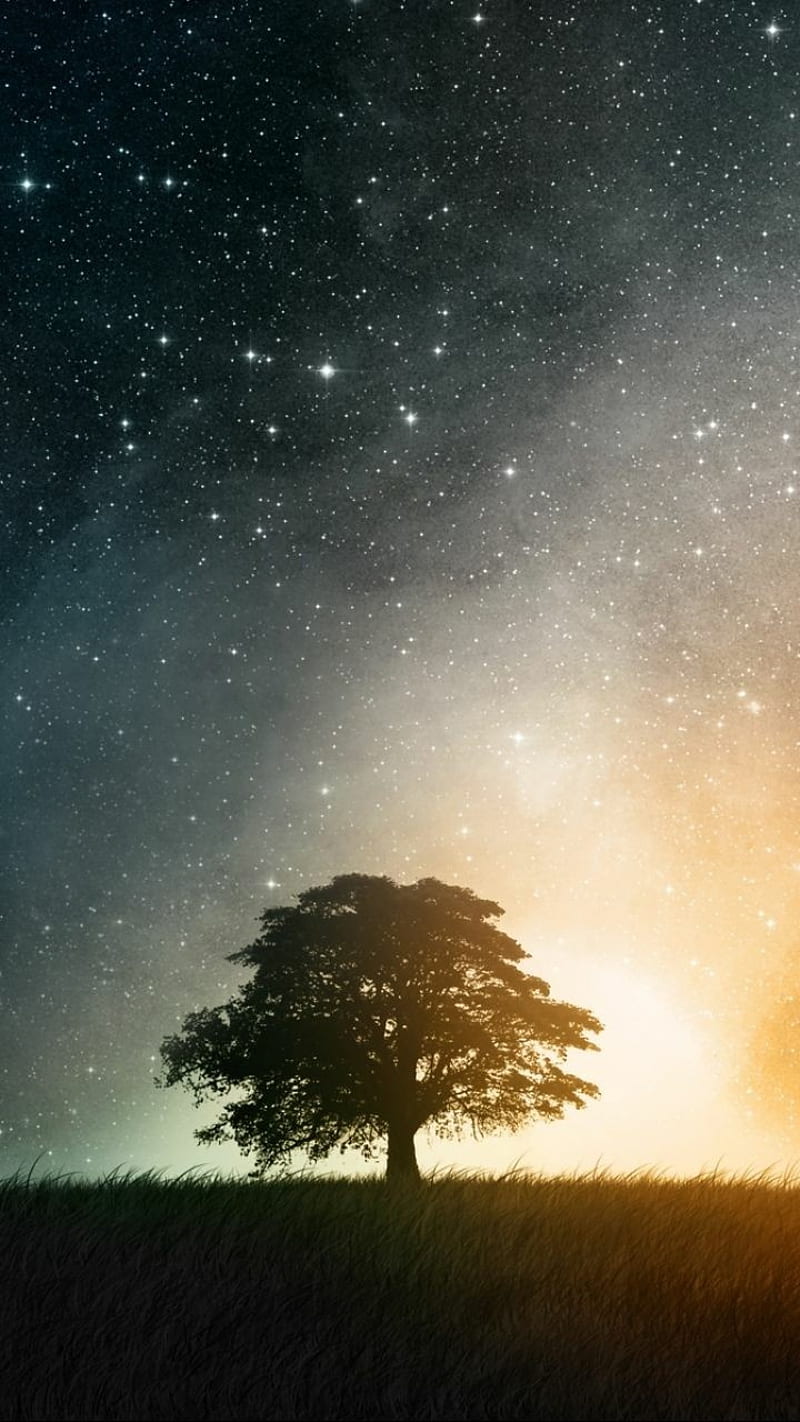 Tree Galaxy, night, parallax, sky, star, stars, trees, HD phone wallpaper