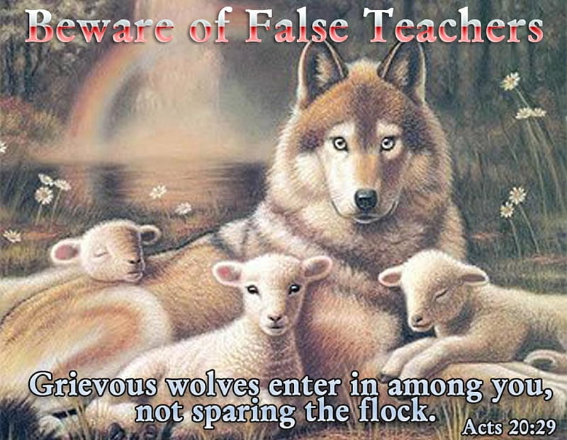False, among, lambs, wolf, controls, HD wallpaper