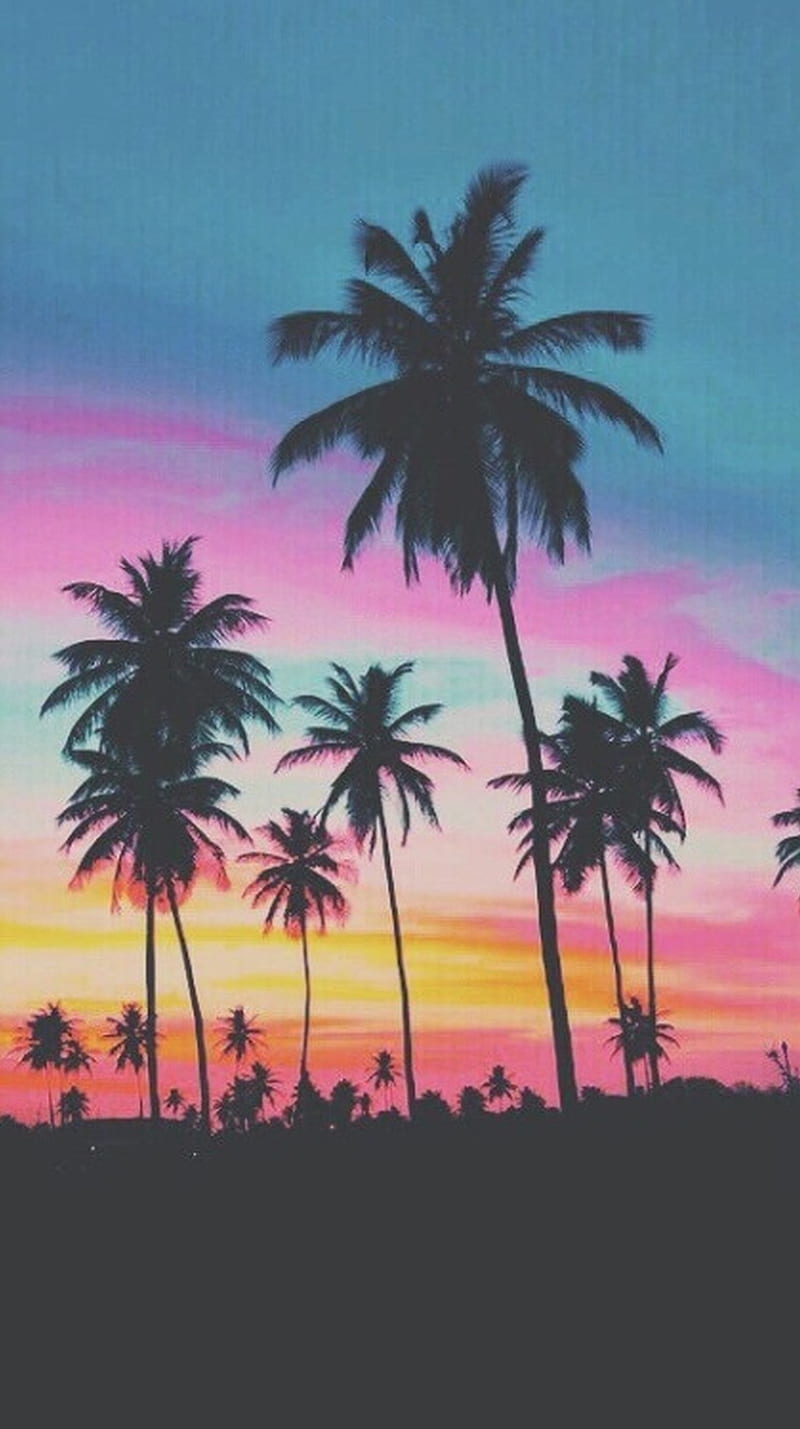 Beach Sunset, HD phone wallpaper