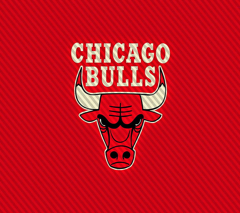 Chicago Bulls, fgds, HD wallpaper