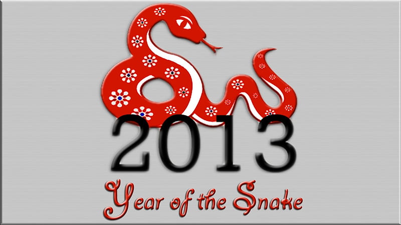 Chinese New Year-Year of the Snake, chinese new year, new year, chinese, silver, snake, HD wallpaper