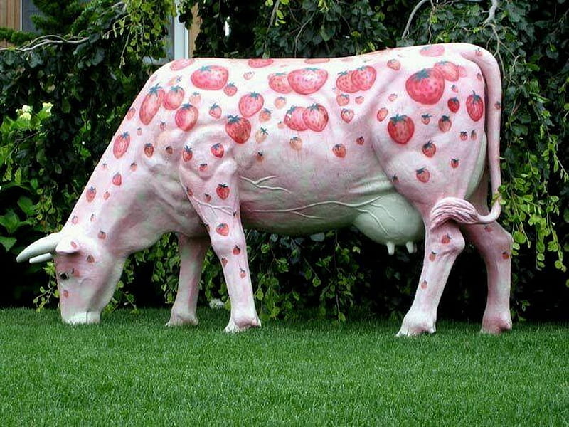 Pink cow HD phone wallpaper  Pxfuel