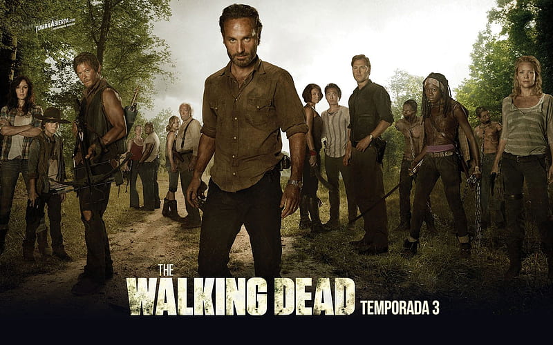 The Walking Dead-American TV series 05, HD wallpaper