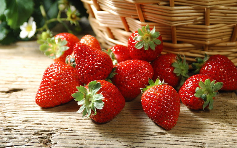 Beautiful Strawberry Red Fruit Full Schumacher's Nursery & Berry Farm, HD wallpaper