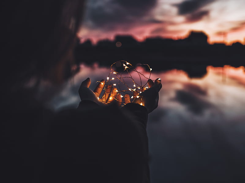 person holding turned on string lights during nighttime, HD wallpaper