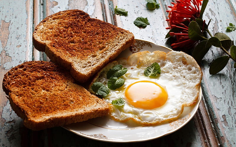 Food, Breakfast, Egg, Toast, HD wallpaper