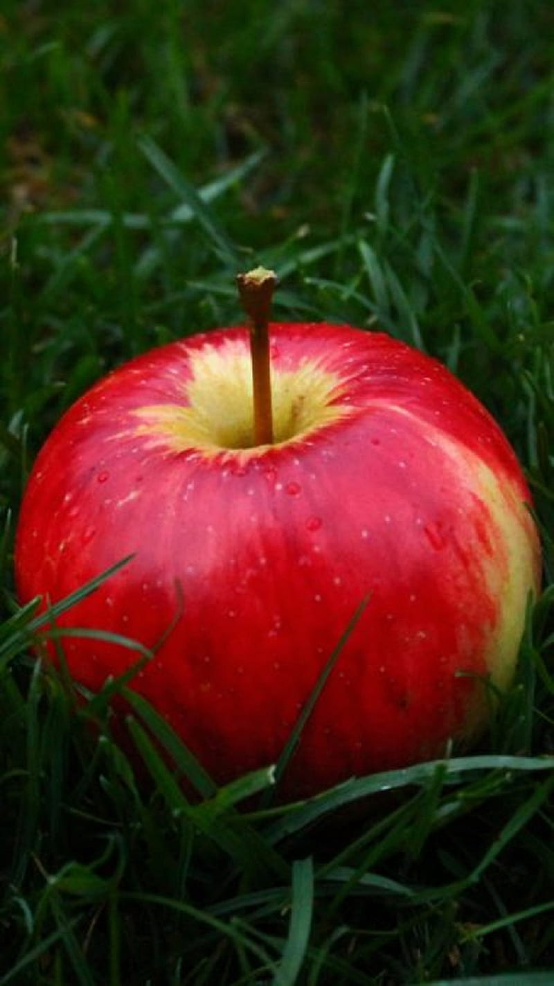 Apple, fruta, HD phone wallpaper