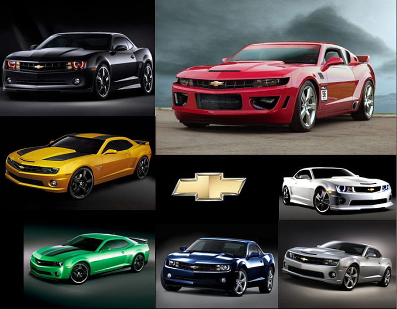 Camaro Collection, carros, logo, chevrolet, camaro, colours, collection, HD  wallpaper | Peakpx